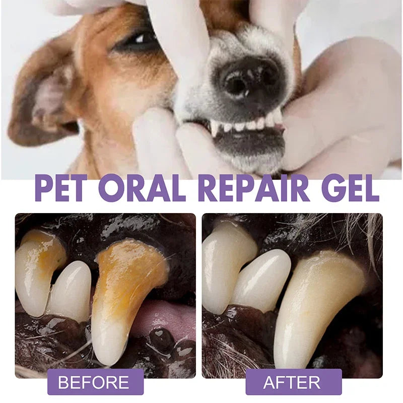 Lapiz Reparador Bucal para Mascotas - PetSmile