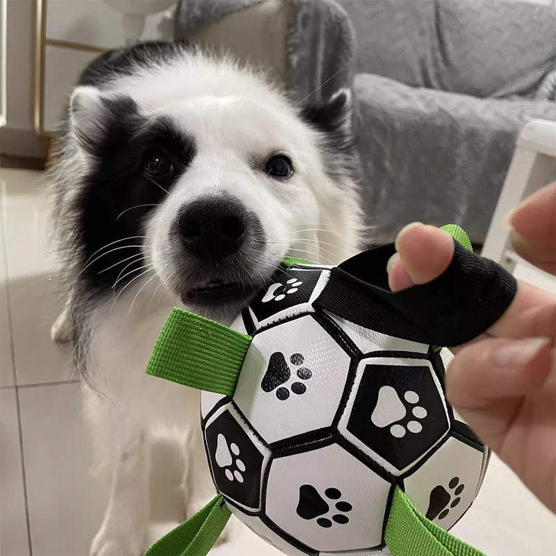 Balon de futbol para perro